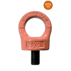 Anneau de levage mâle orientable H.Q