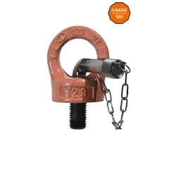 Anneau de levage mâle orientable H.Q avec clé