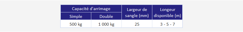 Sangle d'arrimage 1 pièce avec cliquet