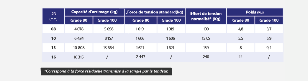 Tendeur d'arrimage à cliquet (à oeil) pour chaîne Grade 80 [réf. 5304] 