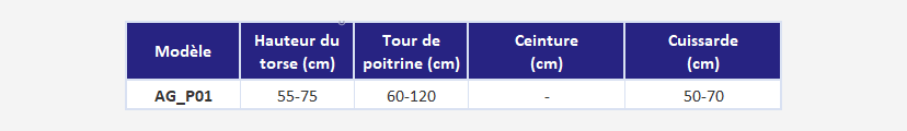 Harnais de sécurité antichute EN361