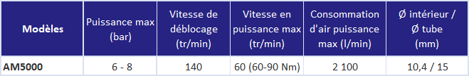 Manivelle pneumatique